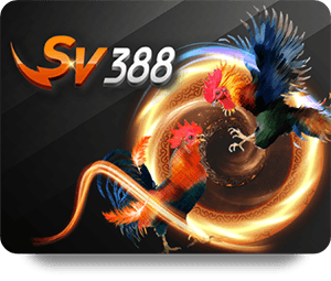 Đánh giá dịch vụ khách hàng tại 789Bet Bóng Đá VIP